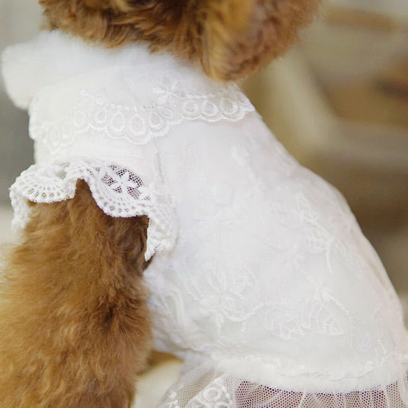 Winter Clothing Kids - Ropa blanca para perros, disfraz con