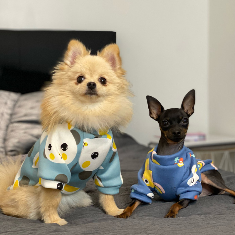 Xs ropa para perros pequeños,  - Winter Clothing For Boys reseña y precio