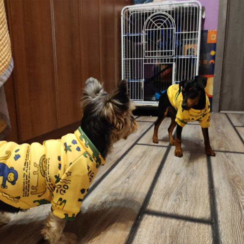 Xs ropa para perros pequeños,  - Winter Clothing For Boys reseña y precio
