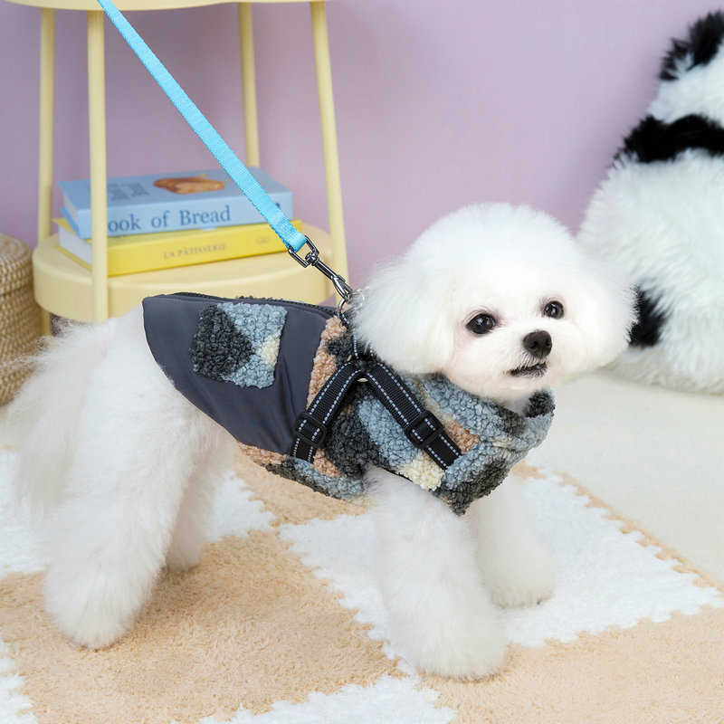 Ropa para mascotas, correas pa - Winter Clothing Amazon reseña y precio